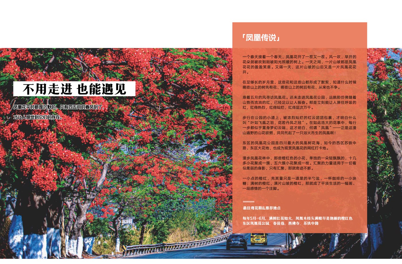 Government tourism brochure page — regional attractions and scenery